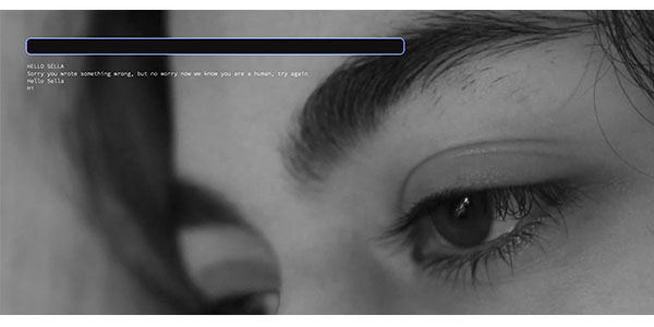 Sella Interactive Web