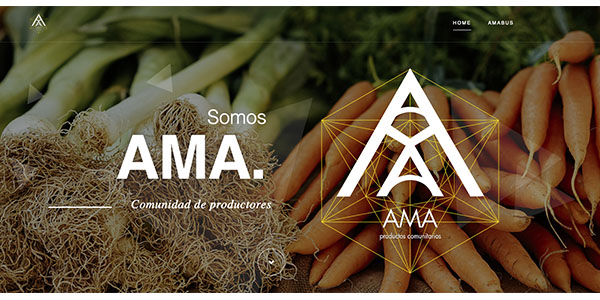 Proyectos AMA Web
