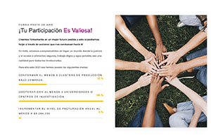 Proyectos AMA Web