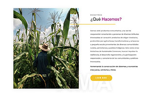 Proyectos AMA Web