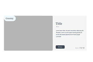 Design System